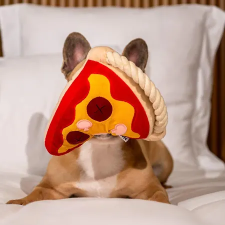 מלון Mama Shelter