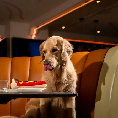 מלון Mama Shelter דיז'ון