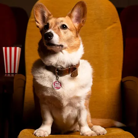 Mama Shelter מלון דיז'ון