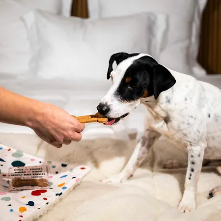 Mama Shelter מלון 4*