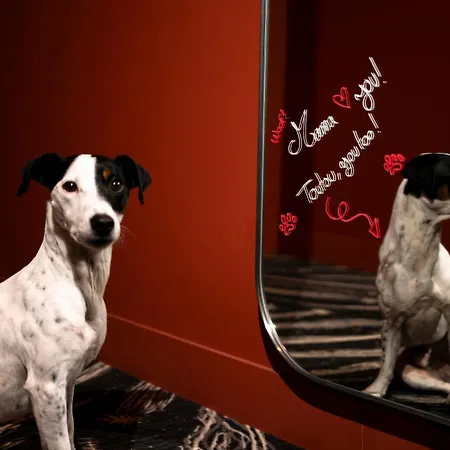 מלון Mama Shelter 4*