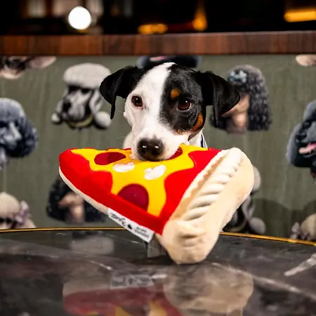 Mama Shelter מלון דיז'ון