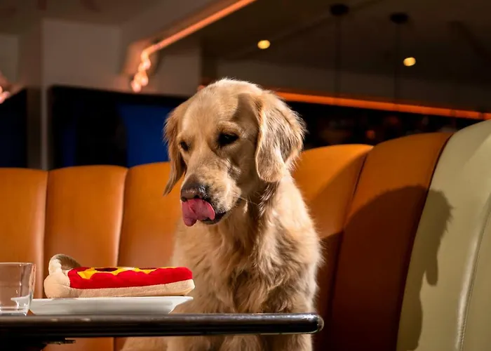 Hotel Mama Shelter Dijon