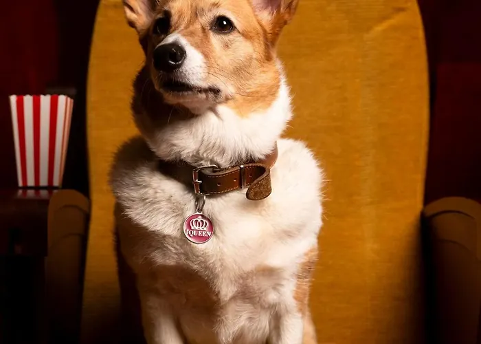 Mama Shelter Otel Dijon