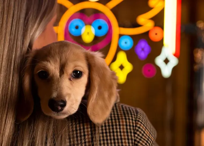 Hotel Mama Shelter Dijon