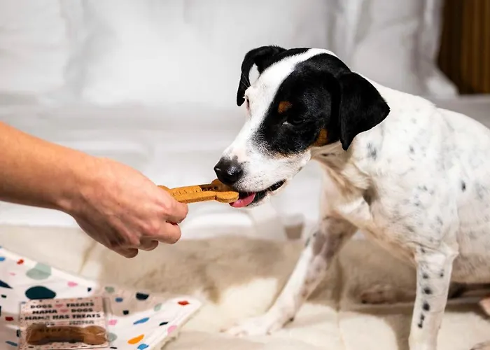 Mama Shelter Hotel 4*