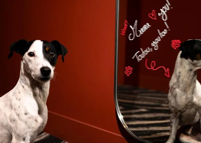 Hotel Mama Shelter 4*