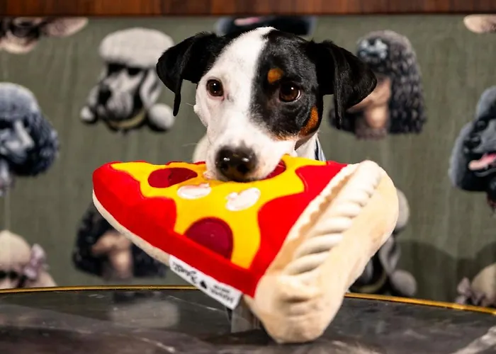 Mama Shelter Hotel Dijon